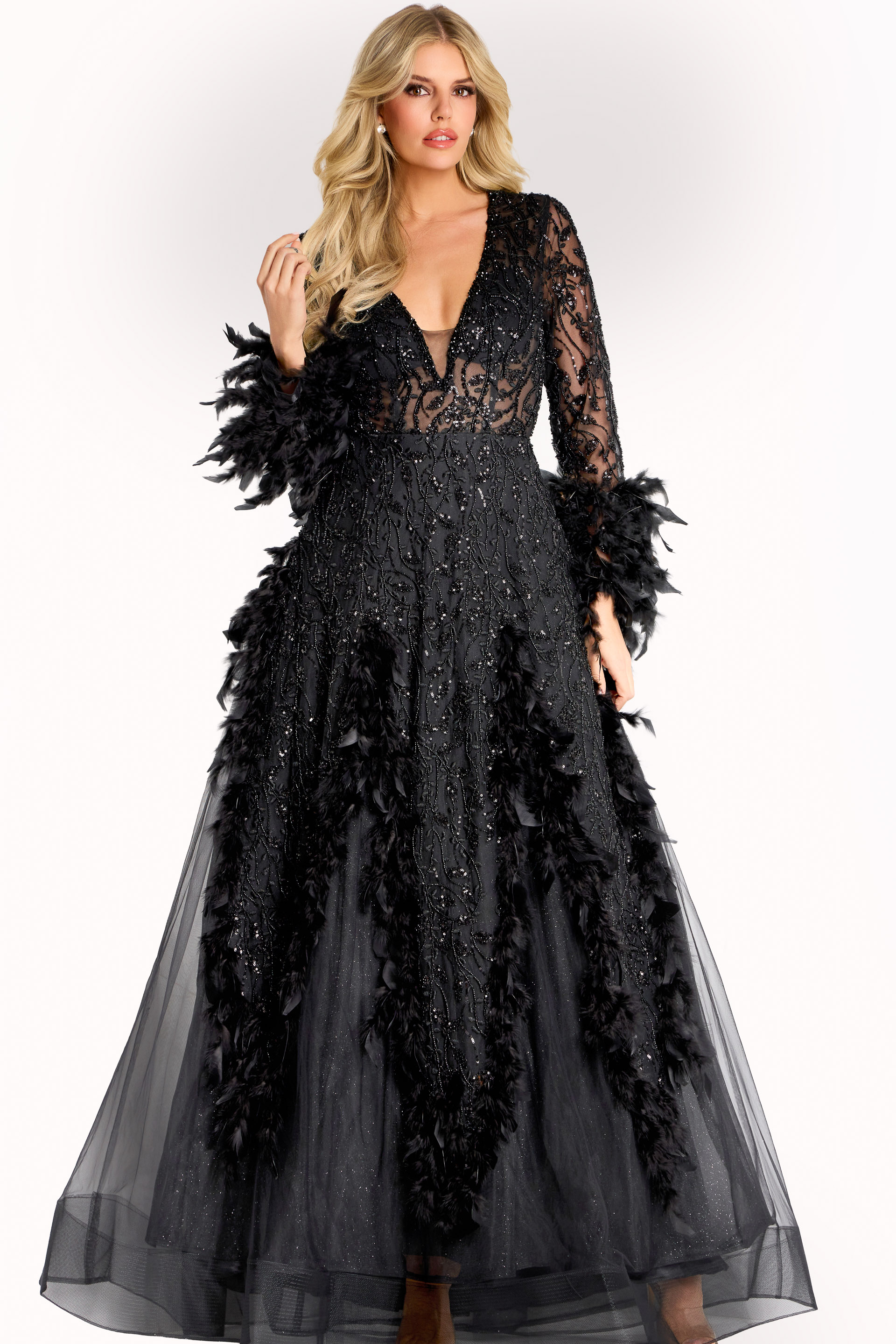 Long black gown with sheer beaded lace bodice, feather-trimmed sleeves, and flowing tulle skirt.