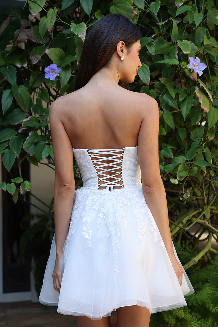 Strapless Lace Corset Fit And Flare Mini Dress K44212